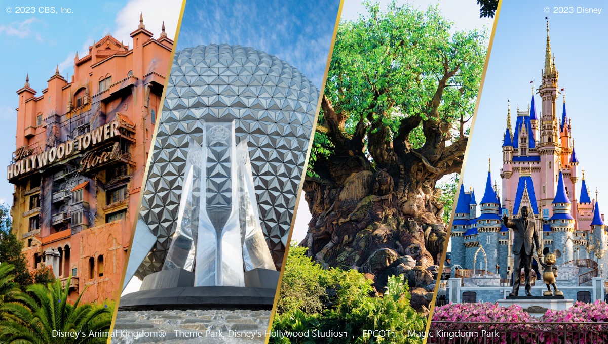 WDW4P
