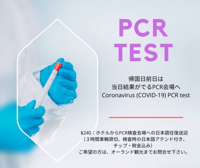 PCR 検査（即日結果）COVID-19 PCR Testing (Same Day Results)